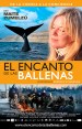 El encanto de las ballenas