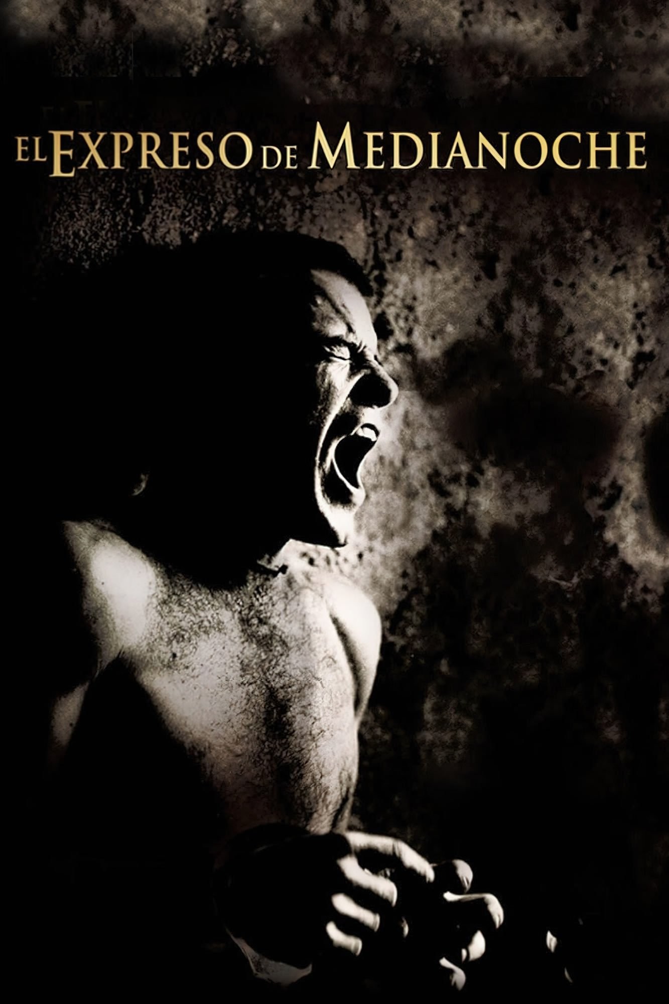 Poster de EL EXPRESO DE MEDIANOCHE en español