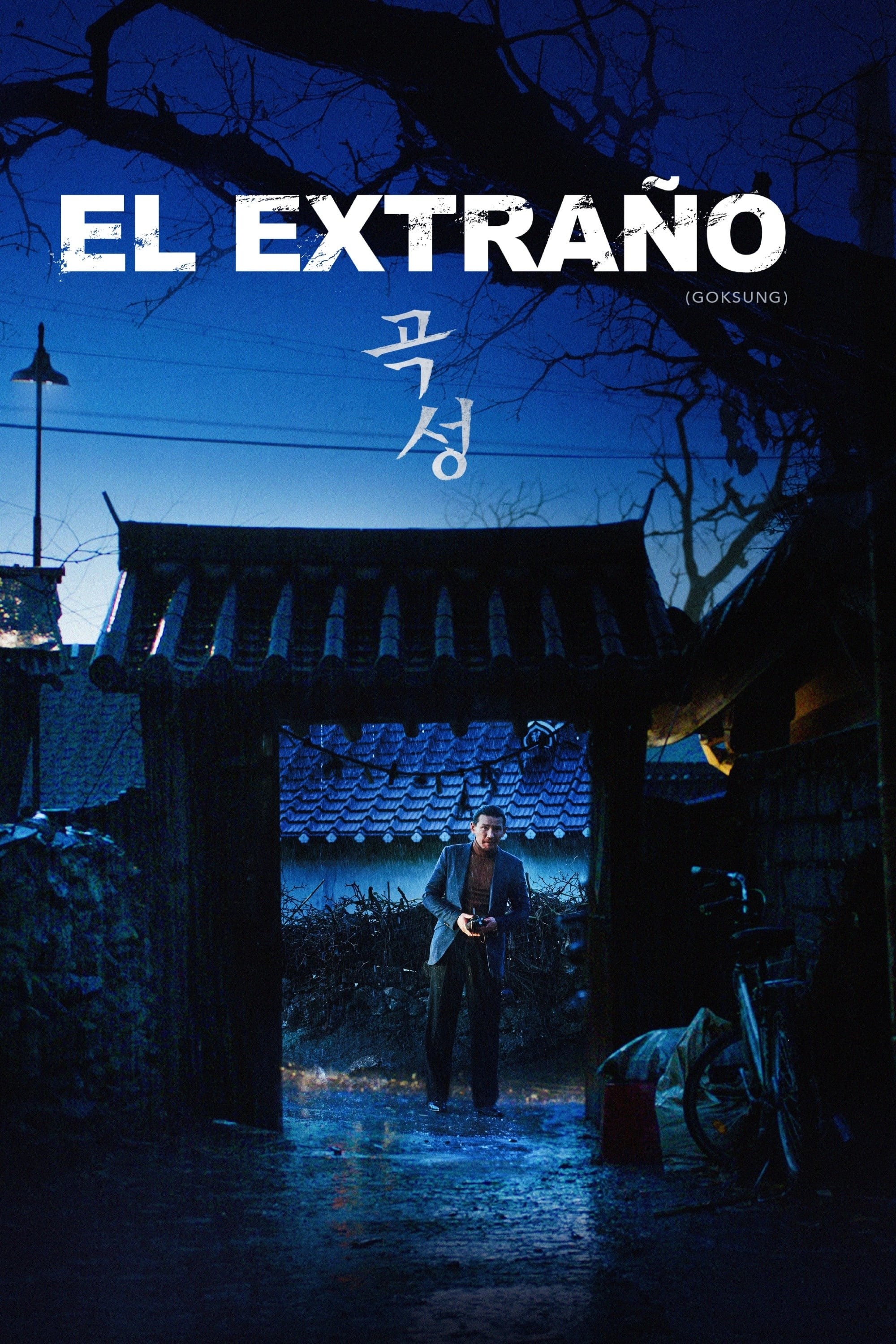 Poster de EL EXTRAÑO en español