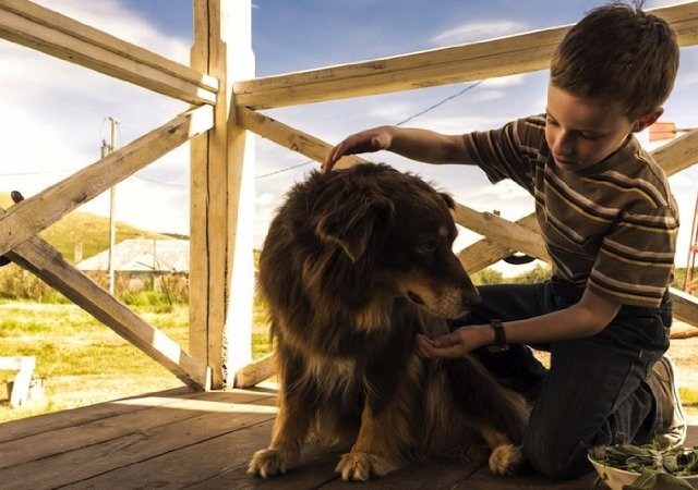 Foto de EL EXTRAORDINARIO VIAJE DE T.S. SPIVET