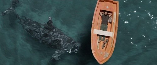 Foto de EL FARO DE LAS ORCAS