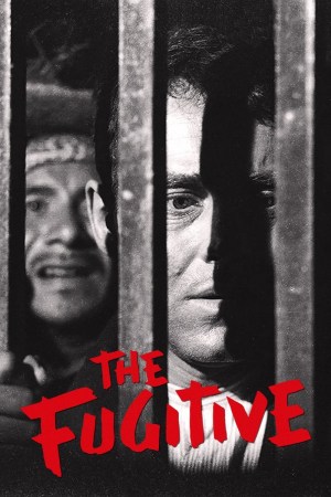 El fugitivo