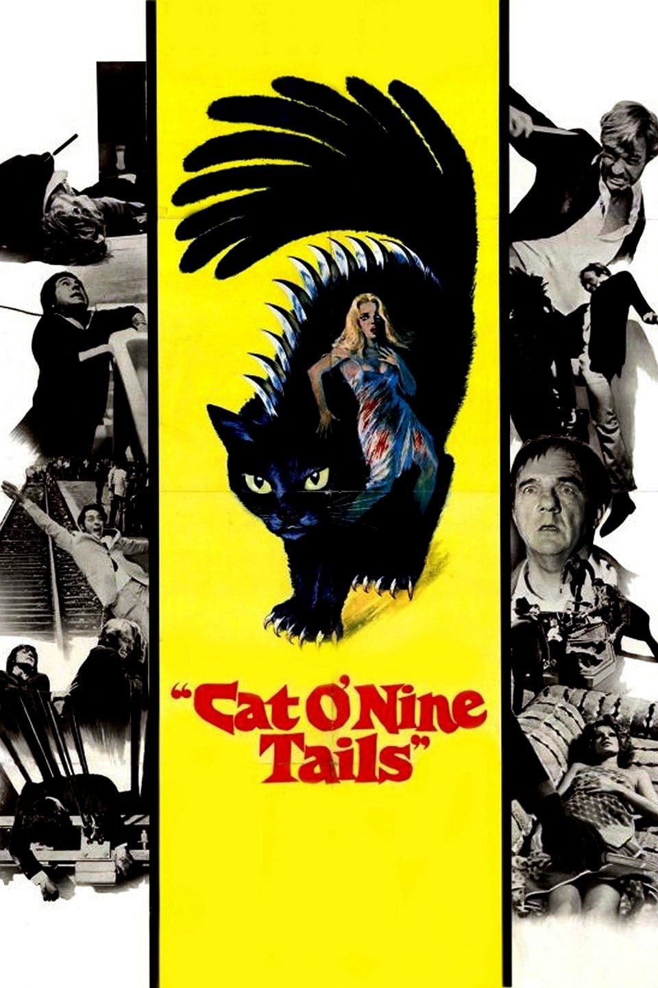 Poster de EL GATO DE 9 COLAS en inglés