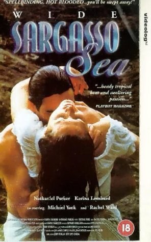 Poster de EL GRAN MAR DE LOS SARGAZOS