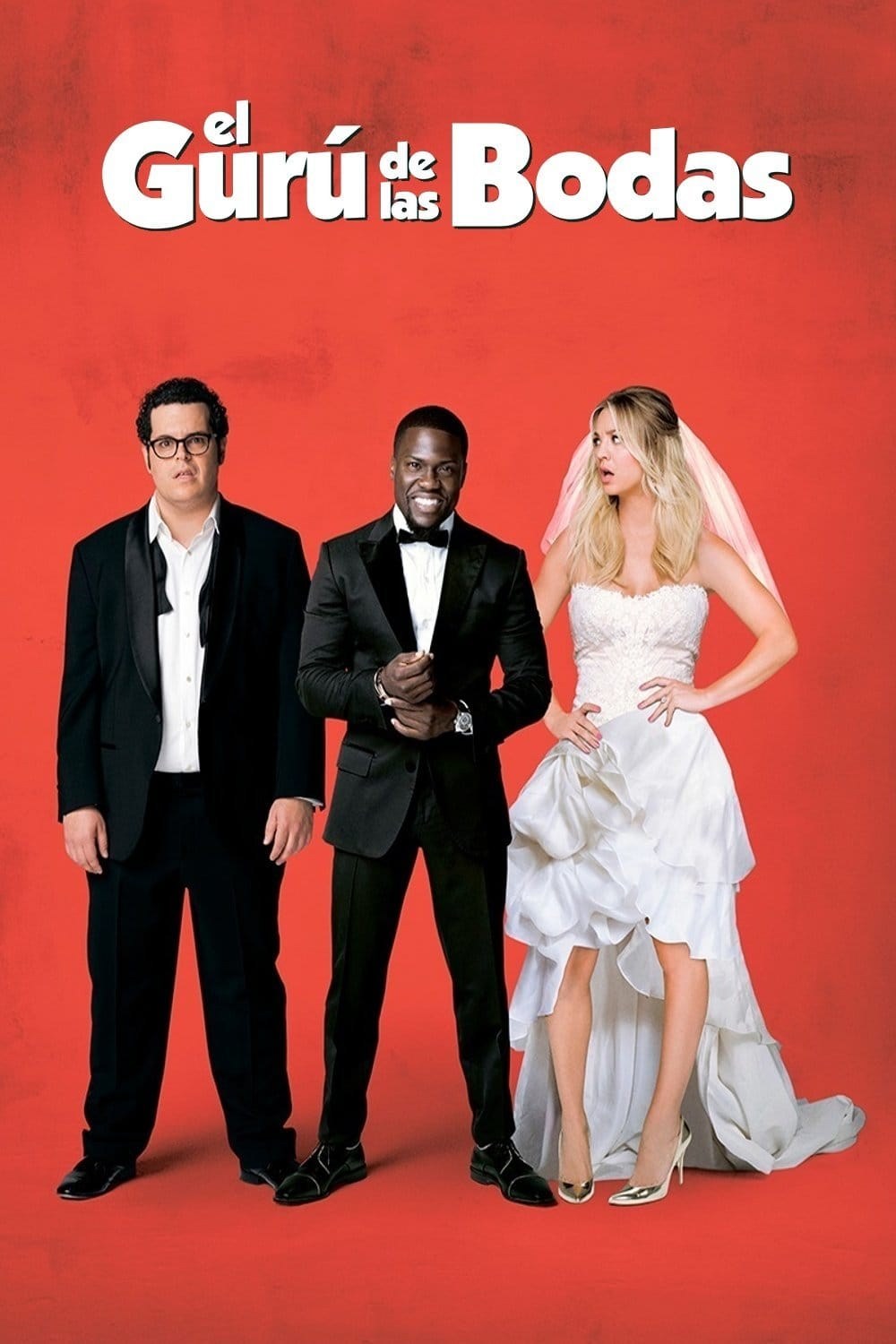 Poster de EL GURÚ DE LAS BODAS en español