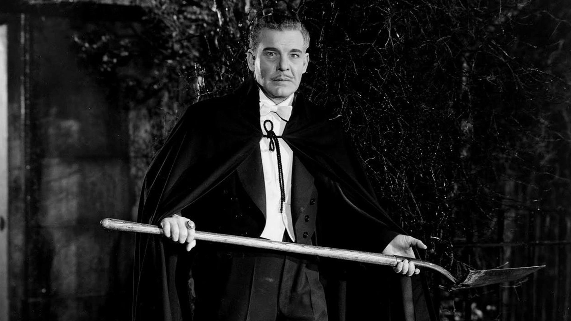 Foto de EL HIJO DE DRÁCULA