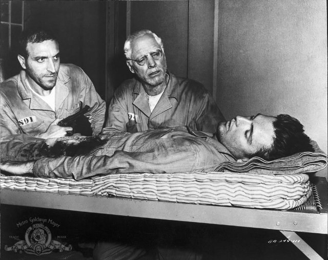 Foto de EL HOMBRE DE ALCATRAZ