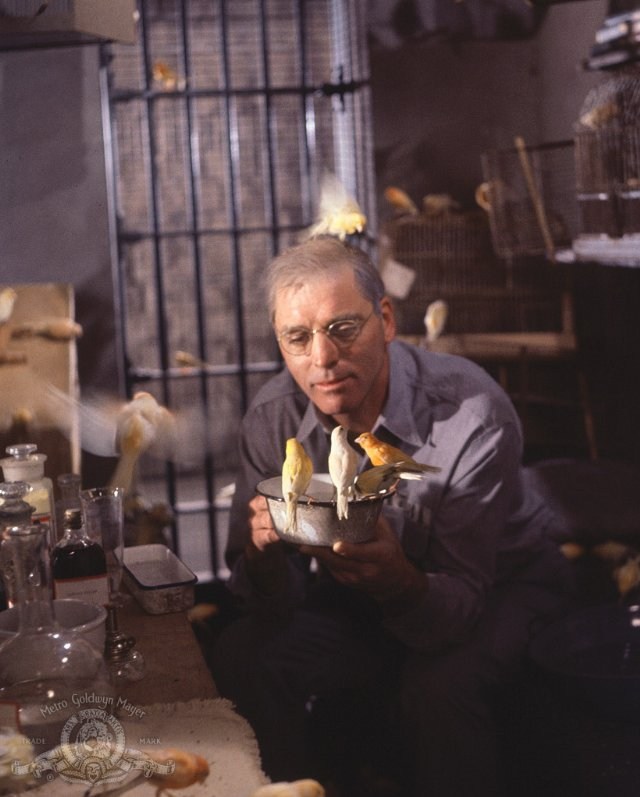 Poster de EL HOMBRE DE ALCATRAZ