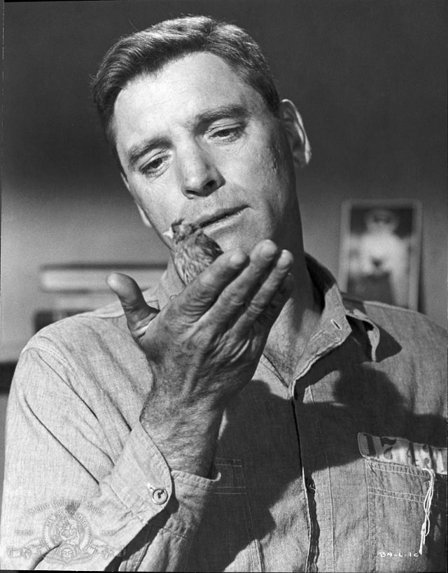 Poster de EL HOMBRE DE ALCATRAZ