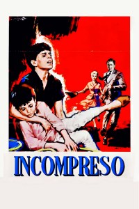 El incomprendido