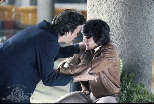 Foto de EL JUEGO DEL HALCÓN