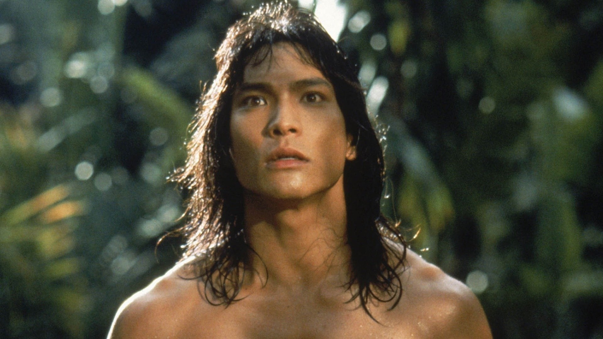 Foto de EL LIBRO DE LA SELVA: LA AVENTURA CONTINÚA