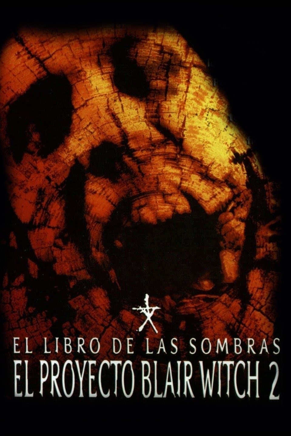 Poster de EL LIBRO DE LAS SOMBRAS (BW2) en español