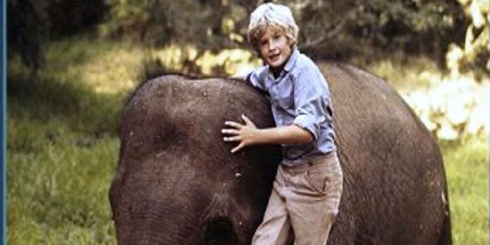 Poster de EL NIÑO QUE ROBÓ UN ELEFANTE