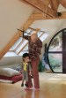 The Boy Who Dreams