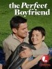 The Perfect Boyfriend