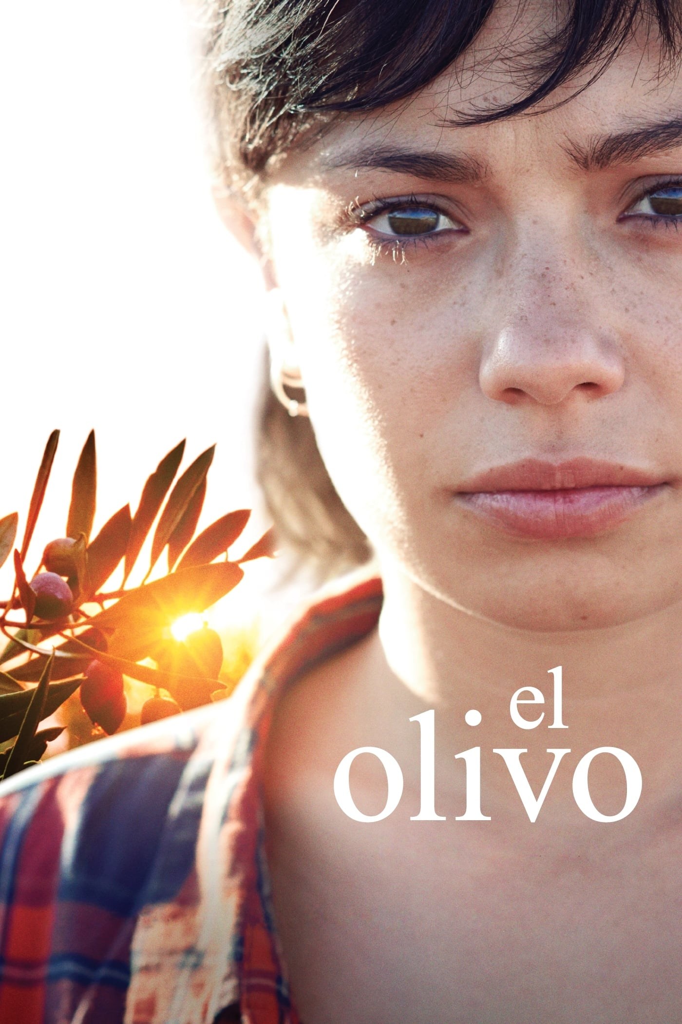 Poster de EL OLIVO en español
