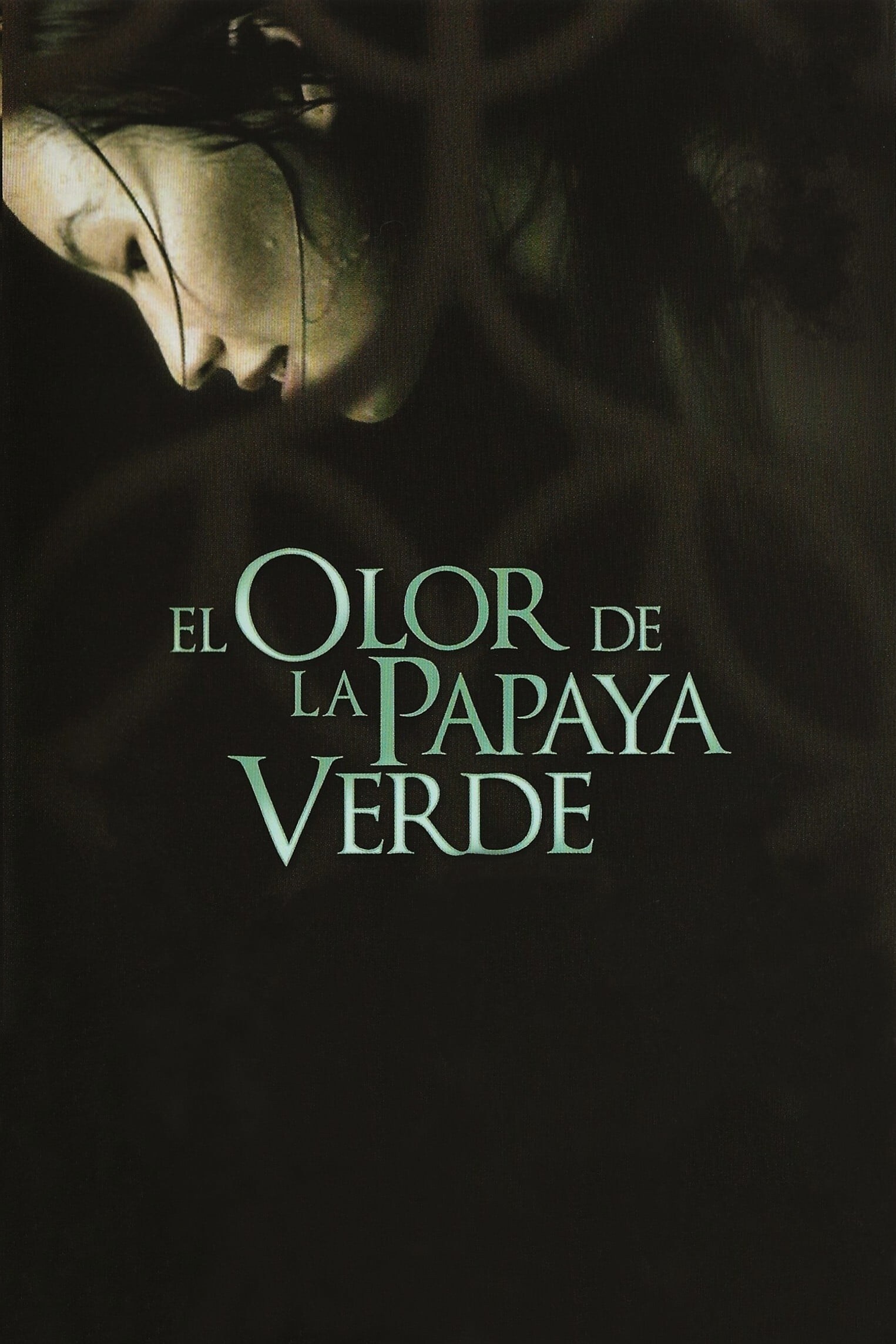 Poster de EL OLOR DE LA PAPAYA VERDE en español