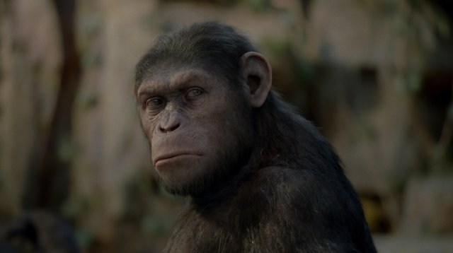 Foto de EL ORIGEN DEL PLANETA DE LOS SIMIOS