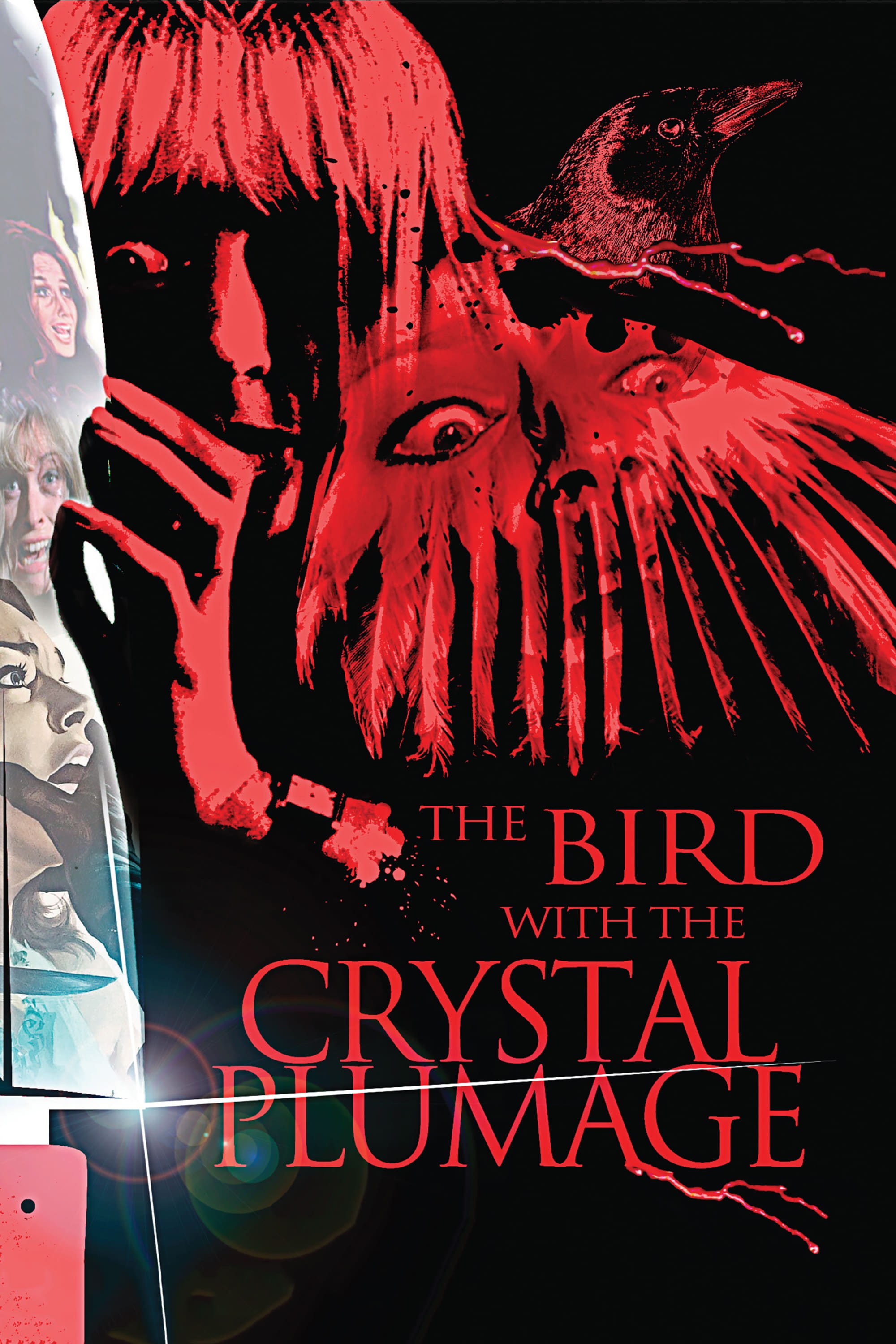 Poster de EL PÁJARO DE LAS PLUMAS DE CRISTAL en inglés