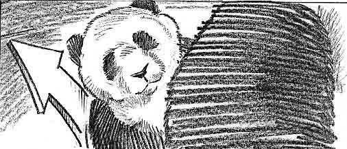 Foto de EL PEQUEÑO PANDA