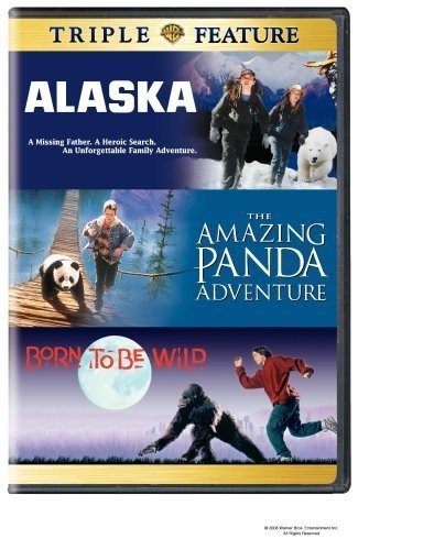 Poster de EL PEQUEÑO PANDA