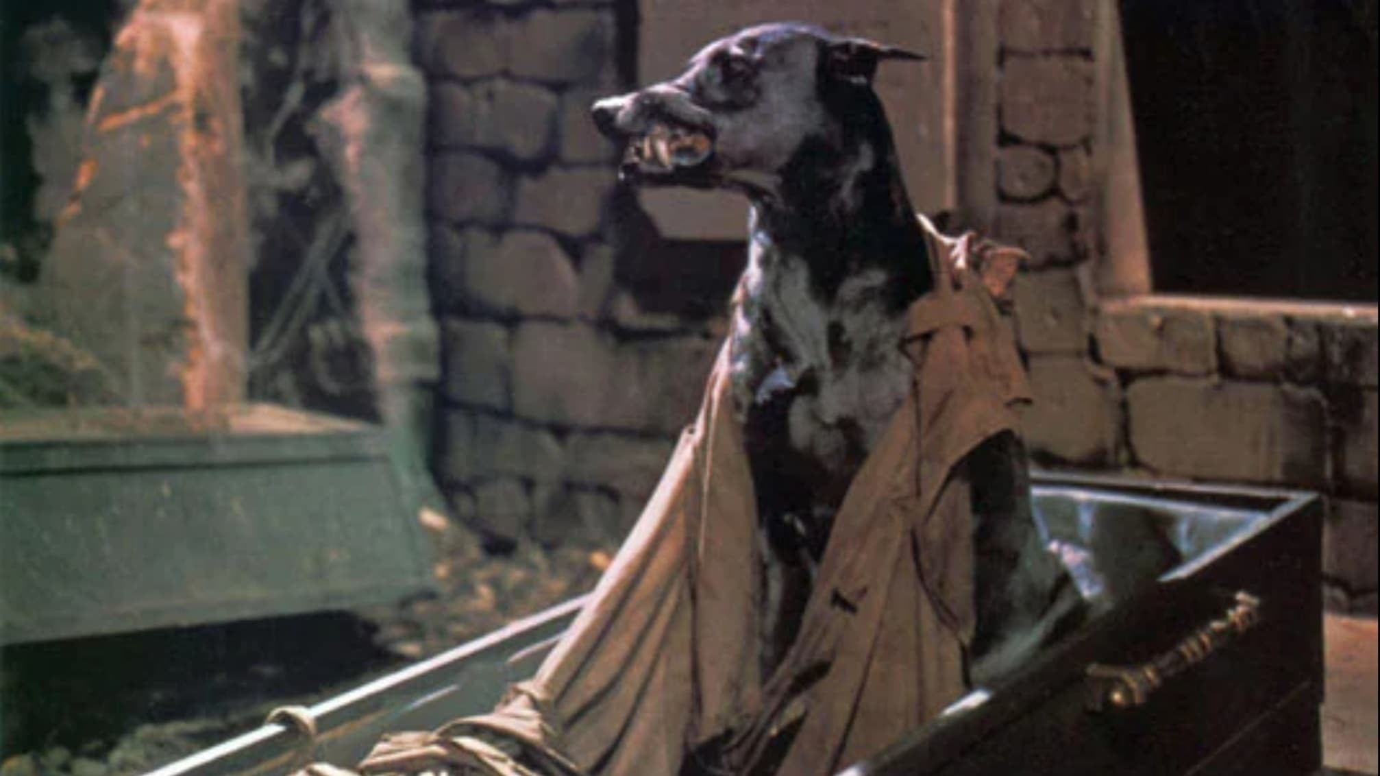 Foto de EL PERRO DE SATÁN (ZOLTAN)