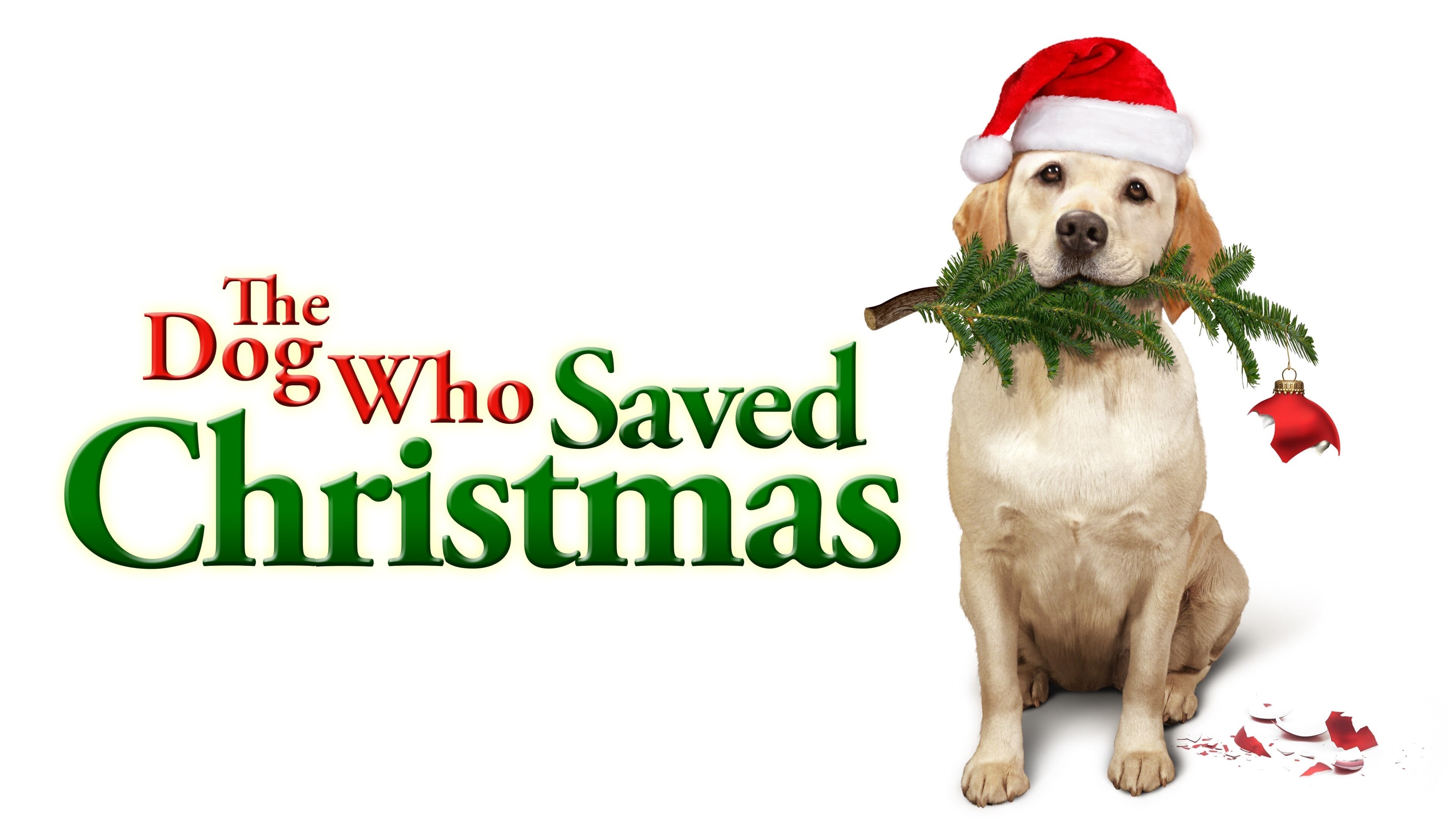 Foto de EL PERRO QUE SALVÓ LA NAVIDAD