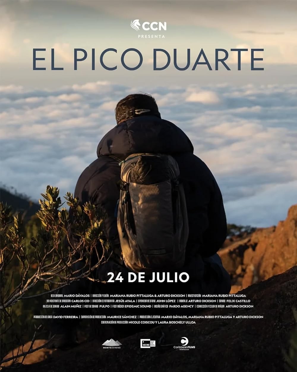 Poster de EL PICO DUARTE