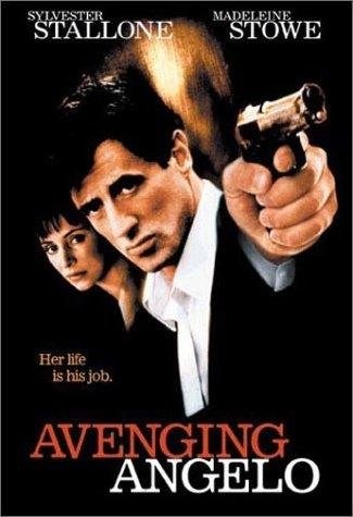 Poster de EL PROTECTOR