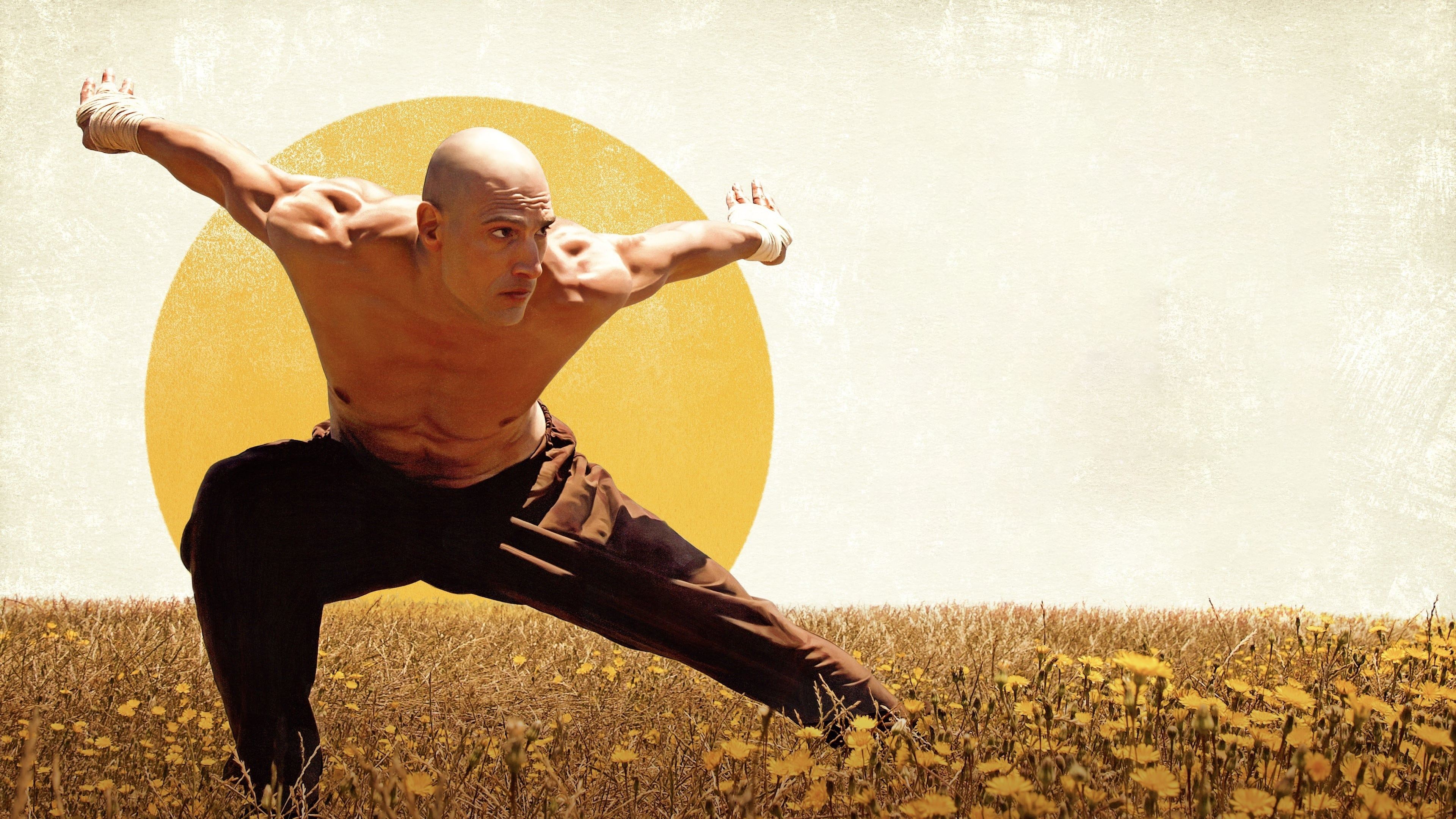 Foto de EL PUÑO DEL CÓNDOR