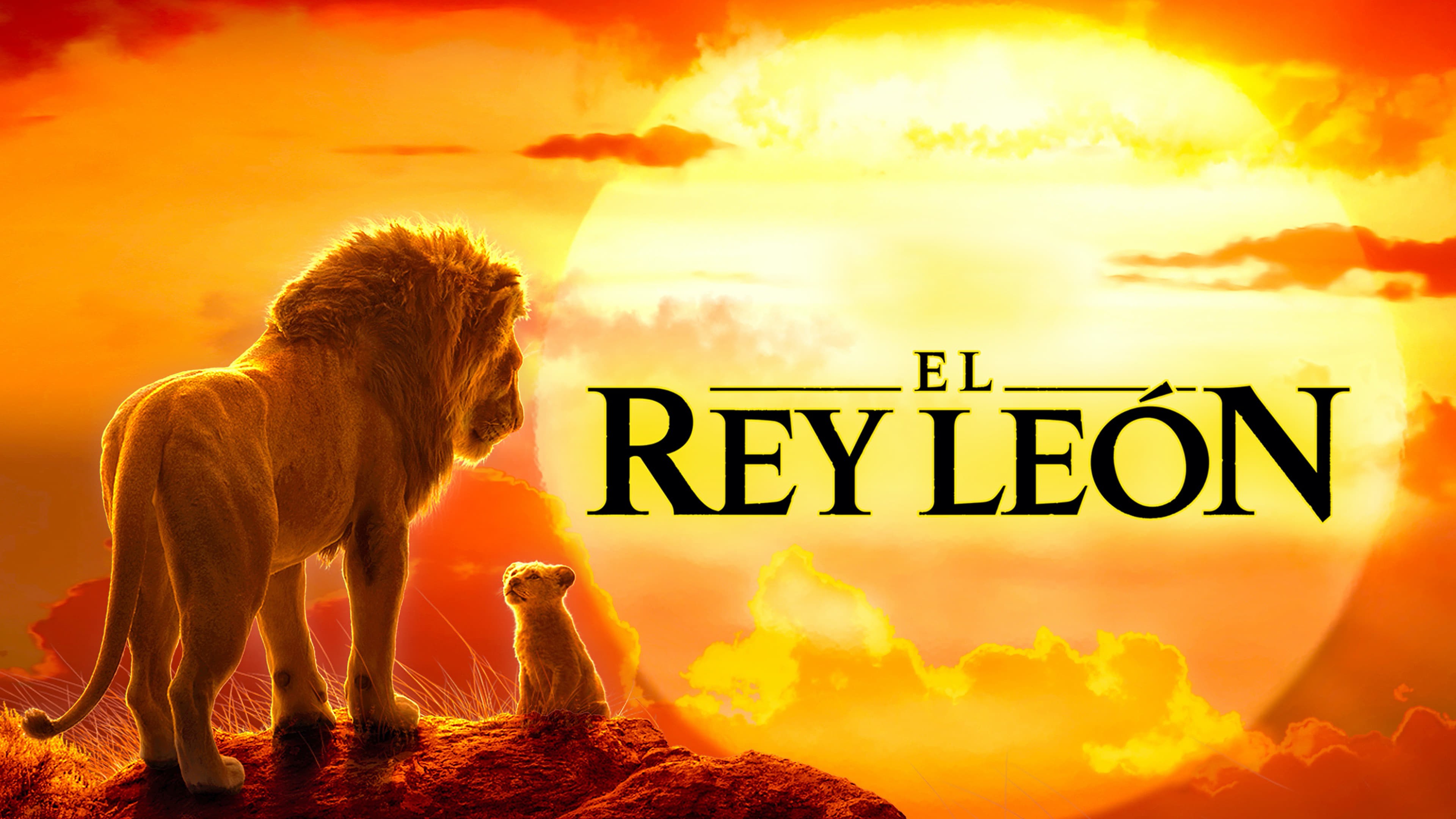Foto de EL REY LEÓN
