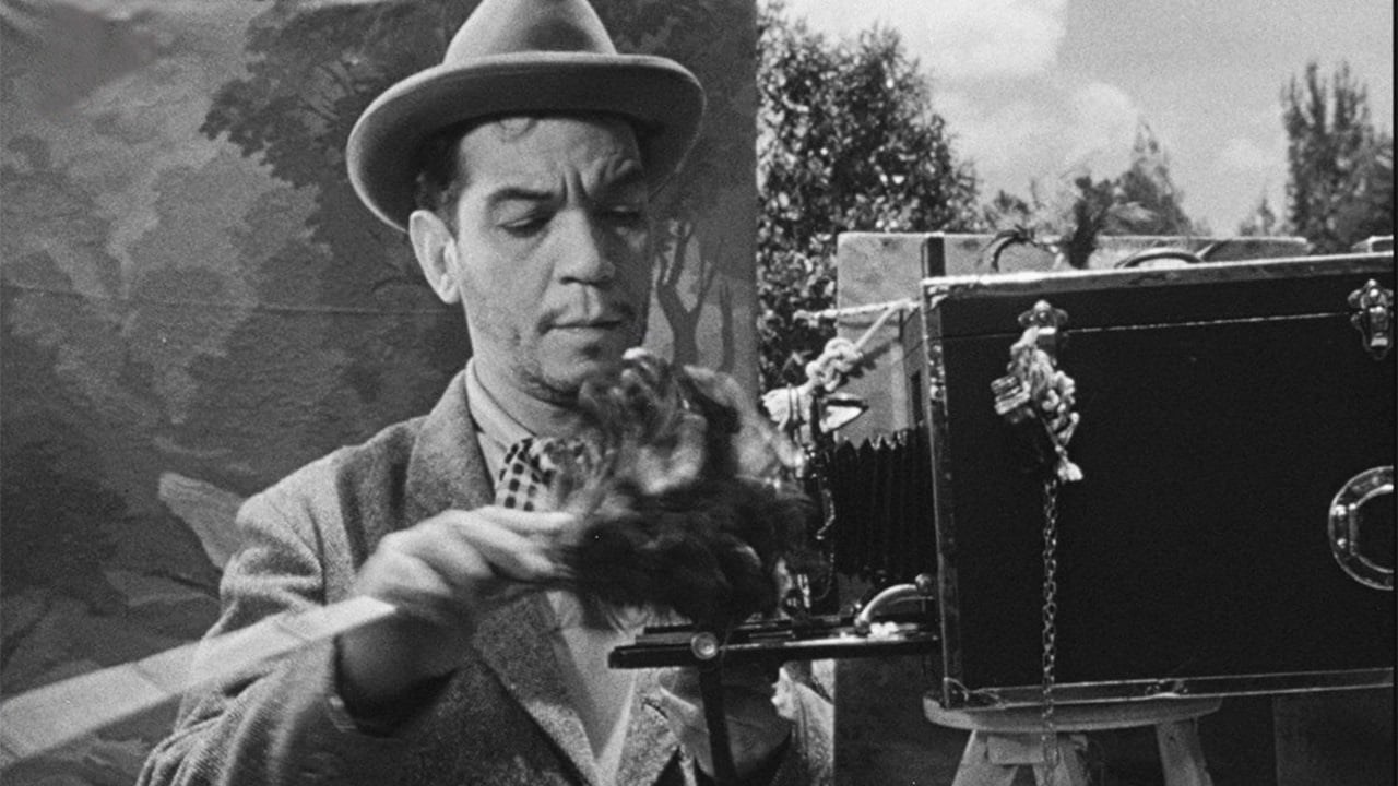 Foto de EL SEÑOR FOTÓGRAFO