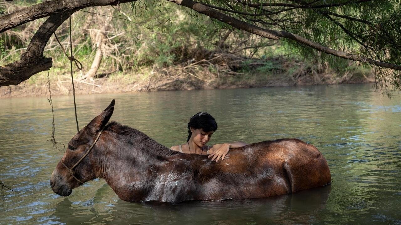 Foto de LA ARRIERA