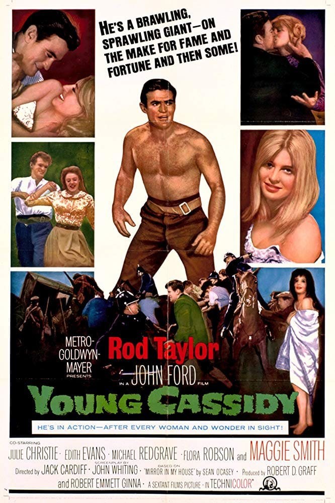 Poster de EL SOÑADOR REBELDE en inglés