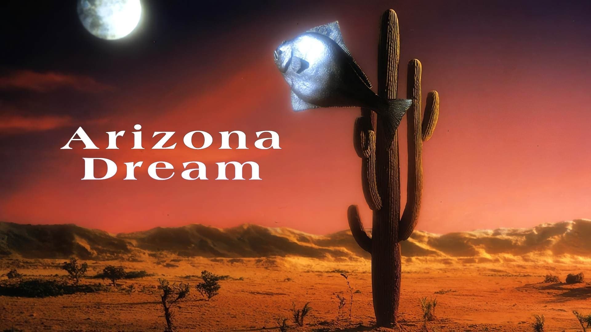 Foto de EL SUEÑO DE ARIZONA