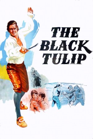 El tulipán negro
