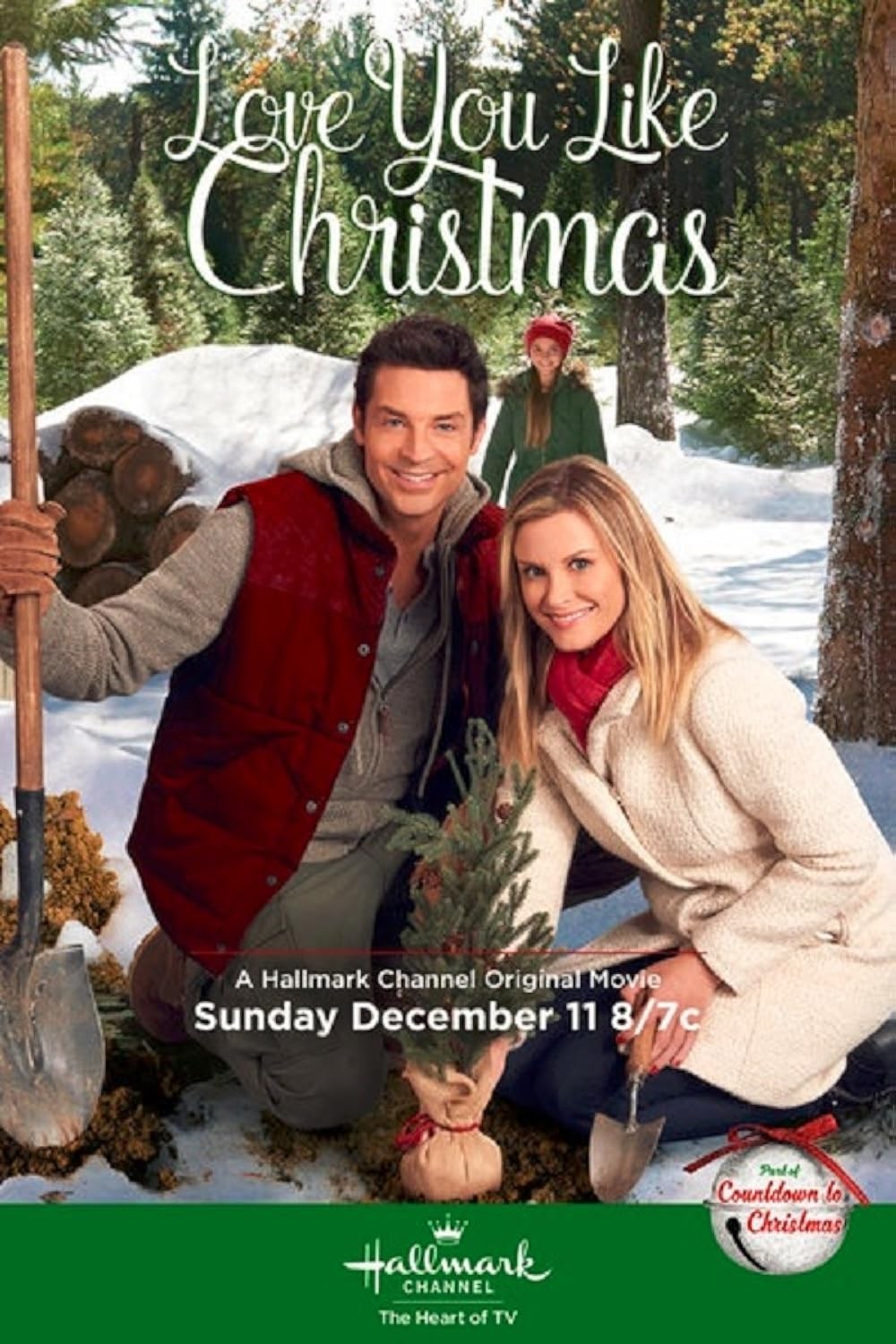 Poster de EL VALLE DE LA NAVIDAD