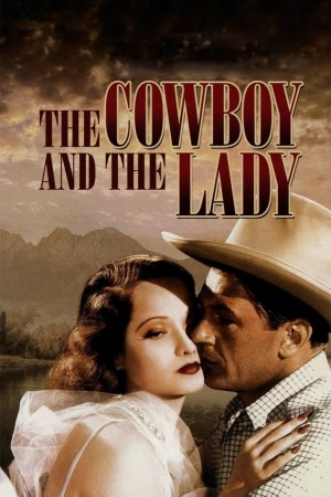 El vaquero y la dama