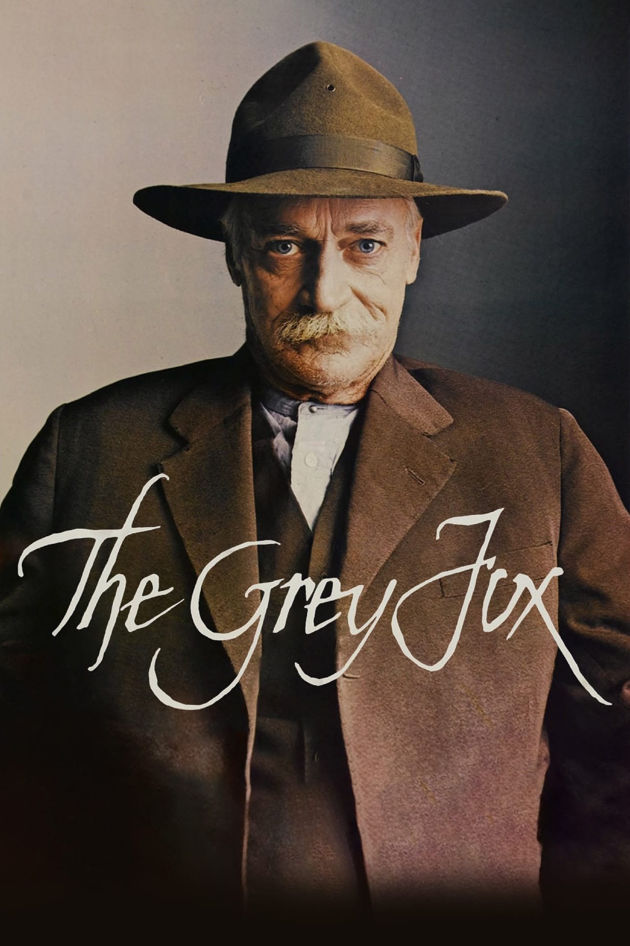 Poster de EL ZORRO GRIS en inglés