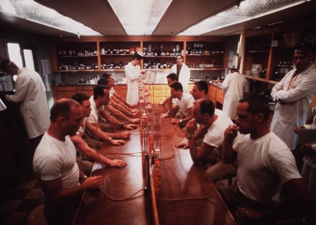 Foto de ELEGIDOS PARA LA GLORIA