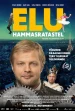 Elu Hammasratastel