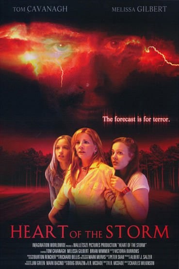 Poster de EN EL CORAZÓN DEL MIEDO