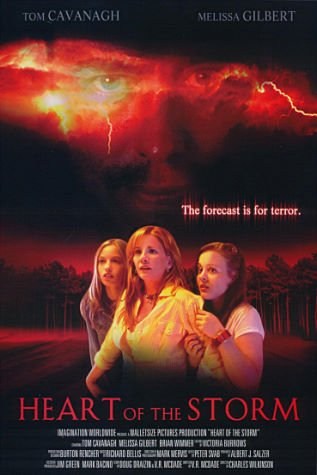 Poster de EN EL CORAZÓN DEL MIEDO