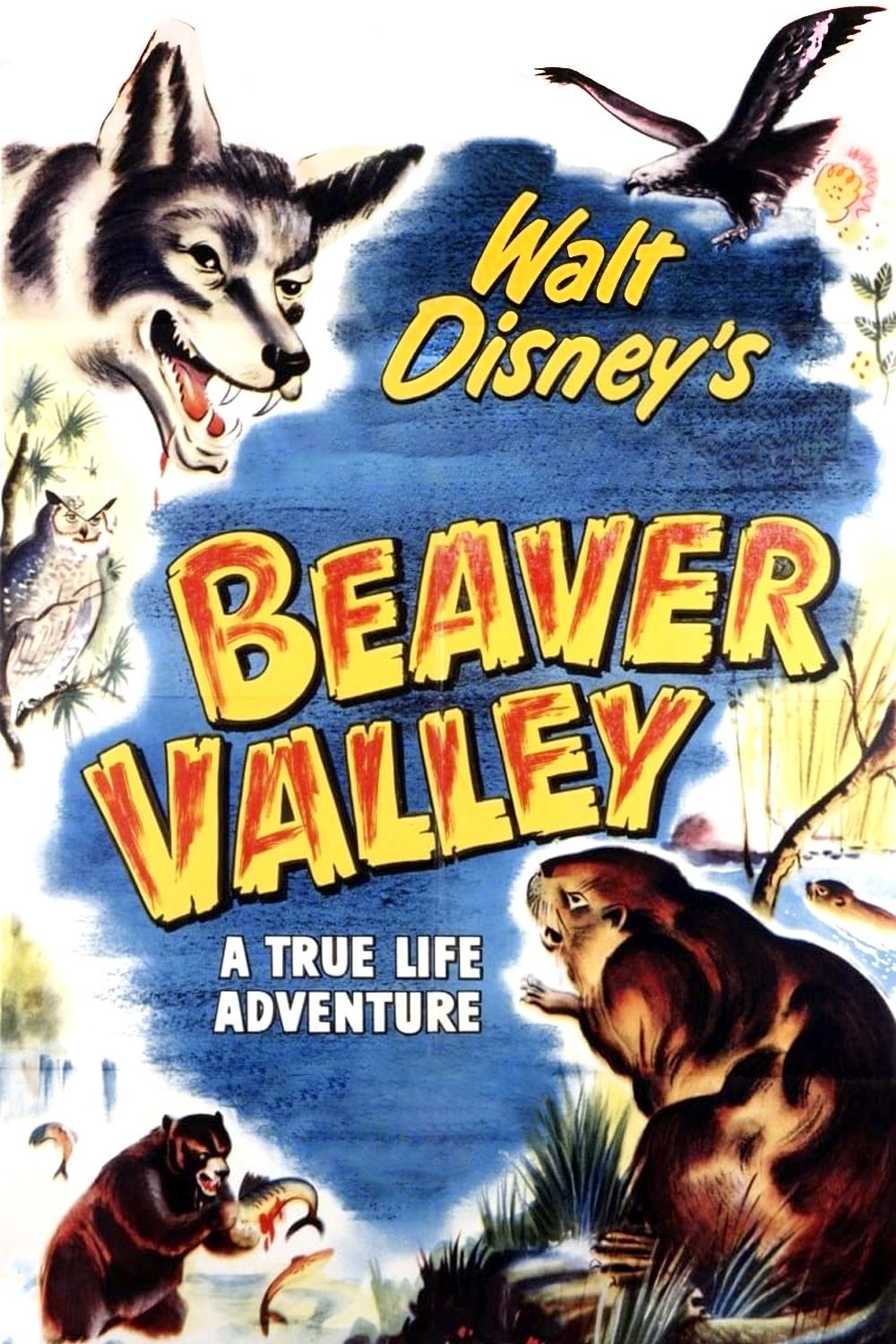 Poster de EN EL VALLE DE LOS CASTORES en inglés