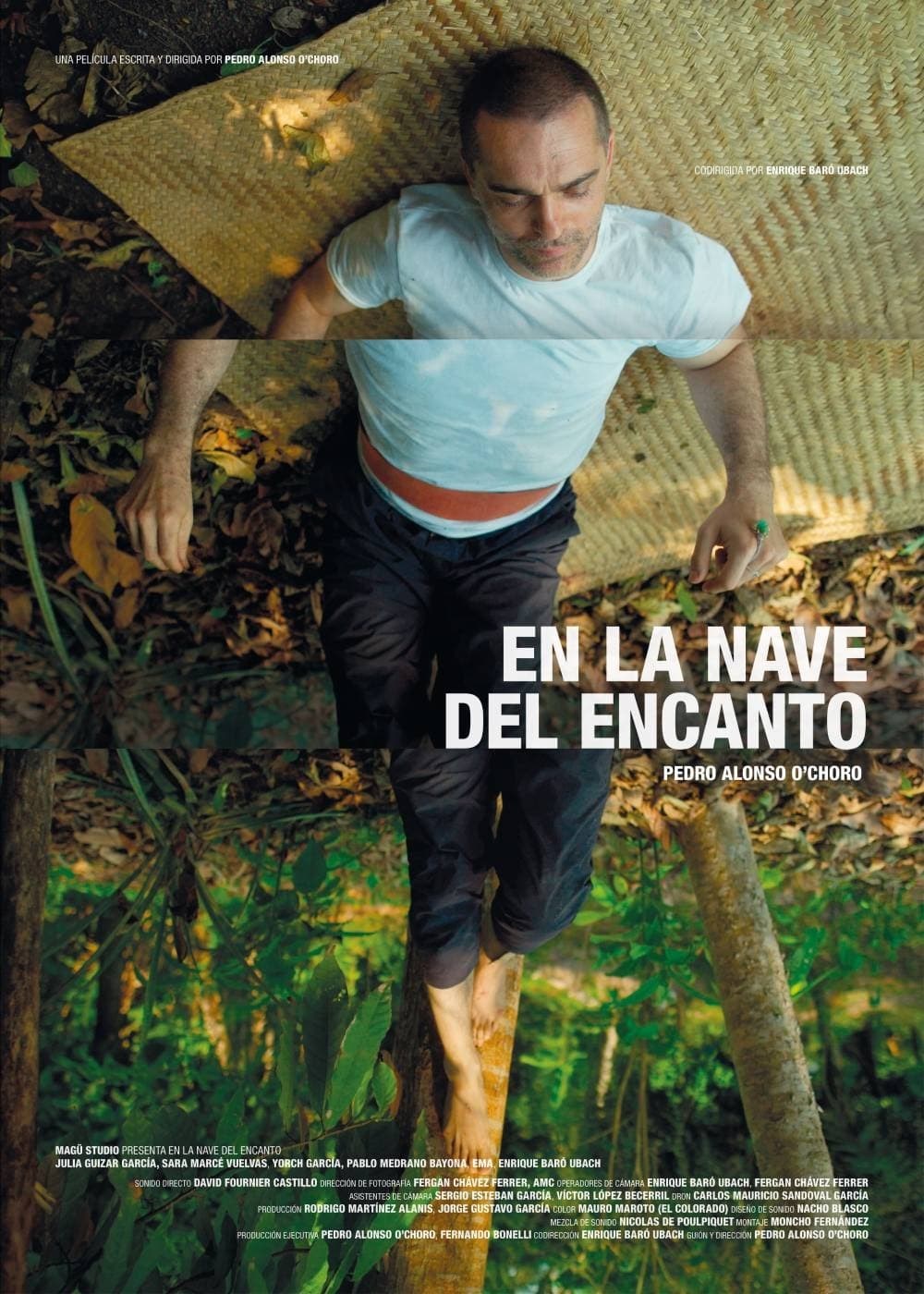 Poster de EN LA NAVE DEL ENCANTO