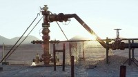 ENDE Empresa Nacional de Electricidad: Guardianes