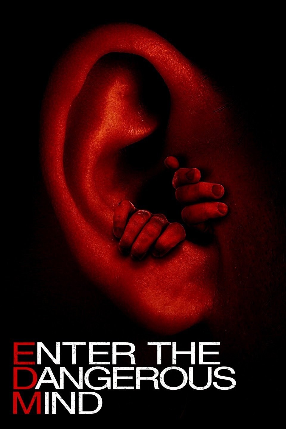 Poster de ENTER THE DANGEROUS MIND en inglés
