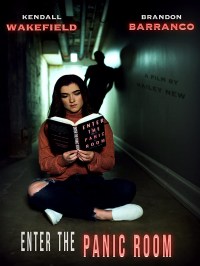 Enter the Panic Room