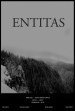 Entitas